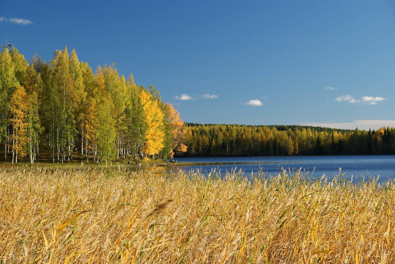 IK Hotel&Camping Keuruu Buitenkant foto